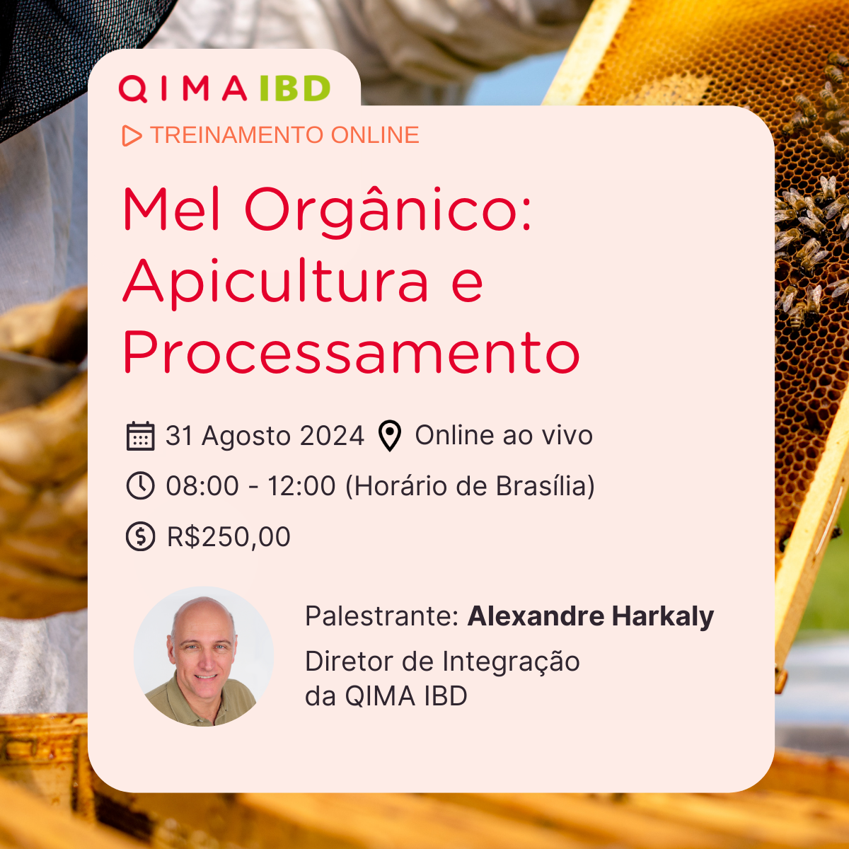 Treinamento Mel Orgânico: Apicultura e Processamento