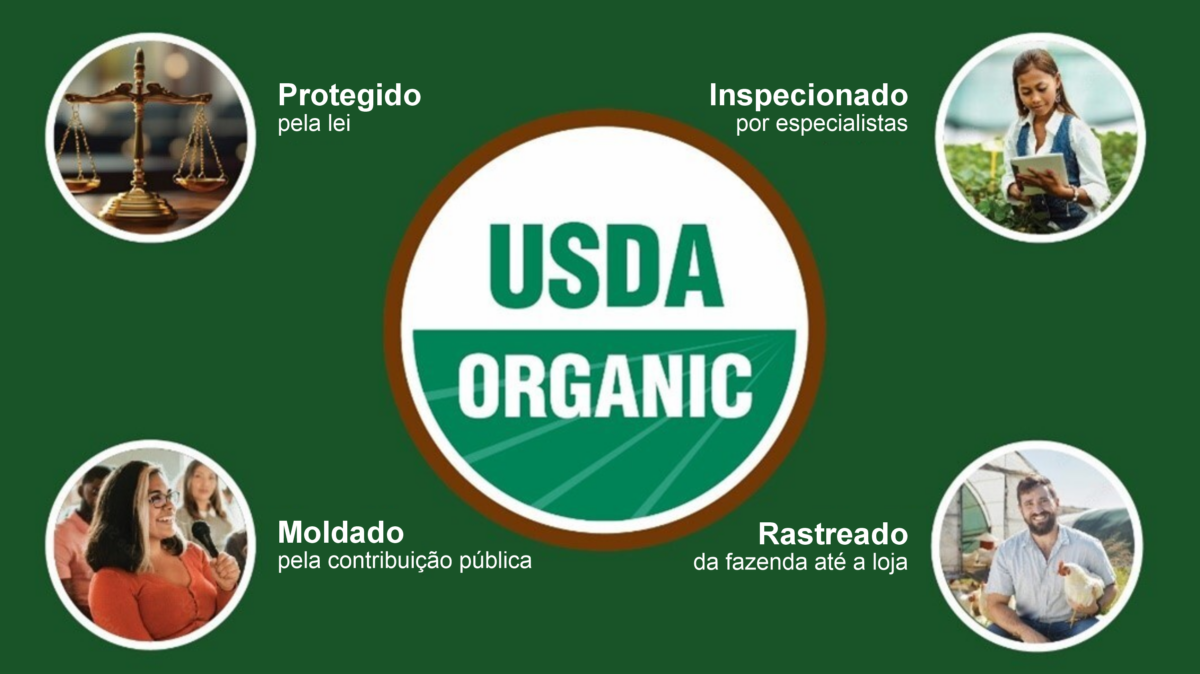 USDA lança ferramentas gráficas para orientar consumidores sobre o selo orgânico