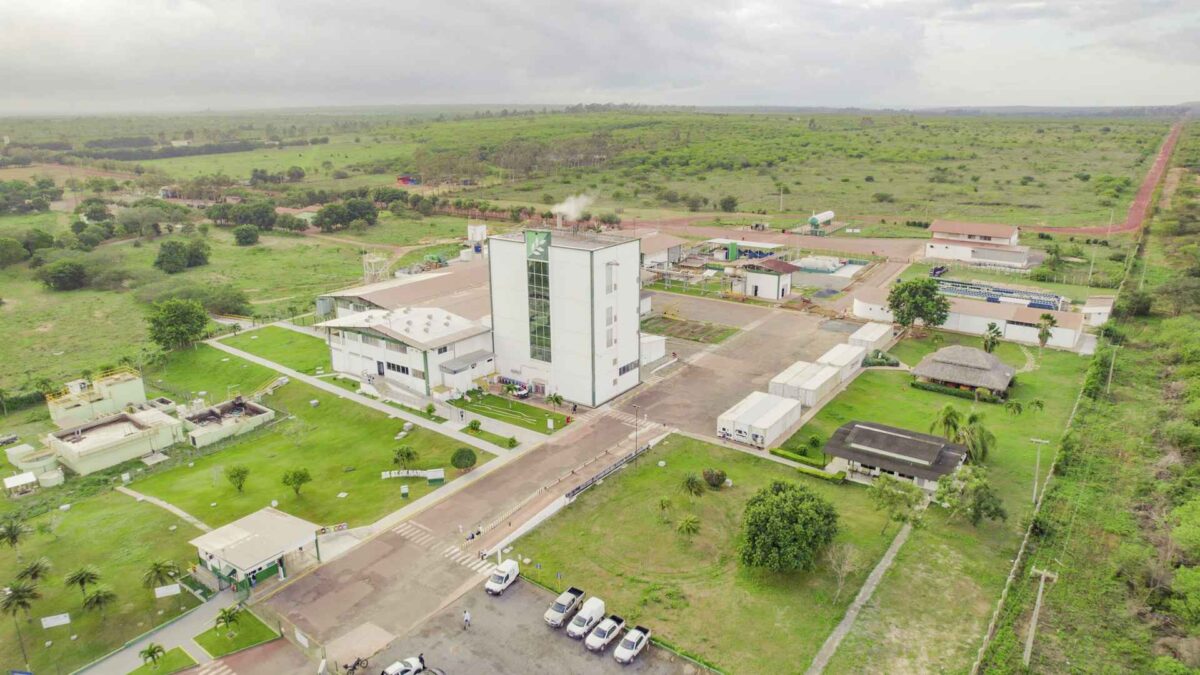 Estudo de Caso – Certificação destaca liderança da Fazenda Amway Nutrilite do Brasil na produção de acerola orgânica